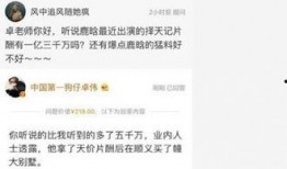 卓伟最新爆料五月行程,五月行程大揭秘，明星动向一网打尽！