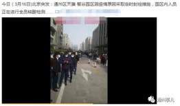 栾城网友爆料新闻最新,惊现神秘事件，真相令人震惊！