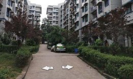 成都维也纳小区最新爆料,揭秘神秘事件背后的真相