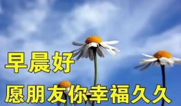 爆料早安问候语图片最新,网红爆款图片背后的温情故事