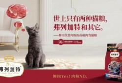 弗列加特最新爆料,尖端科技引领未来军事变革