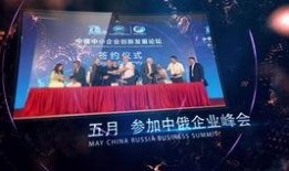 年会爆料视频大全集最新,精彩瞬间回顾，年度盛宴亮点大揭秘