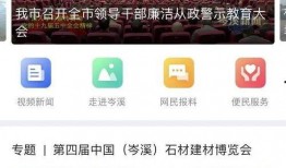 最新模块爆料视频大全集,揭秘科技前沿，畅览创新风采
