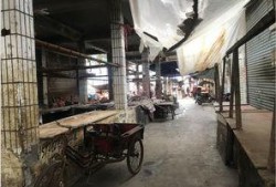 南门菜市场最新爆料,最新爆料揭秘市场新面貌