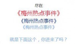 梅州爆料热点新闻最新,揭秘某重大事件背后真相