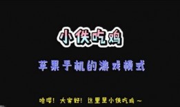 涵艺爆料解说文案大全最新,揭秘娱乐圈幕后风云，最新解说文案大盘点
