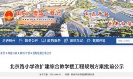 青岛流亭机场爆料最新消息,航班调整与运营情况揭晓