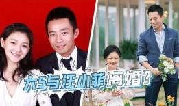 汪小菲事件爆料最新消息,最新爆料揭露惊人内幕！”