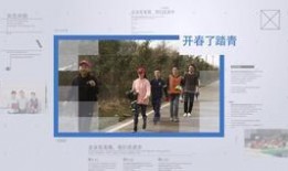 年会爆料视频大全集最新,精彩瞬间回顾，年度盛宴亮点大揭秘