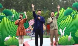 都市爆料老头最新消息视频,老头最新消息视频揭秘，真相令人震惊！