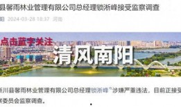 河南爆料今日头条最新消息,今日头条聚焦重大事件，揭秘背后真相